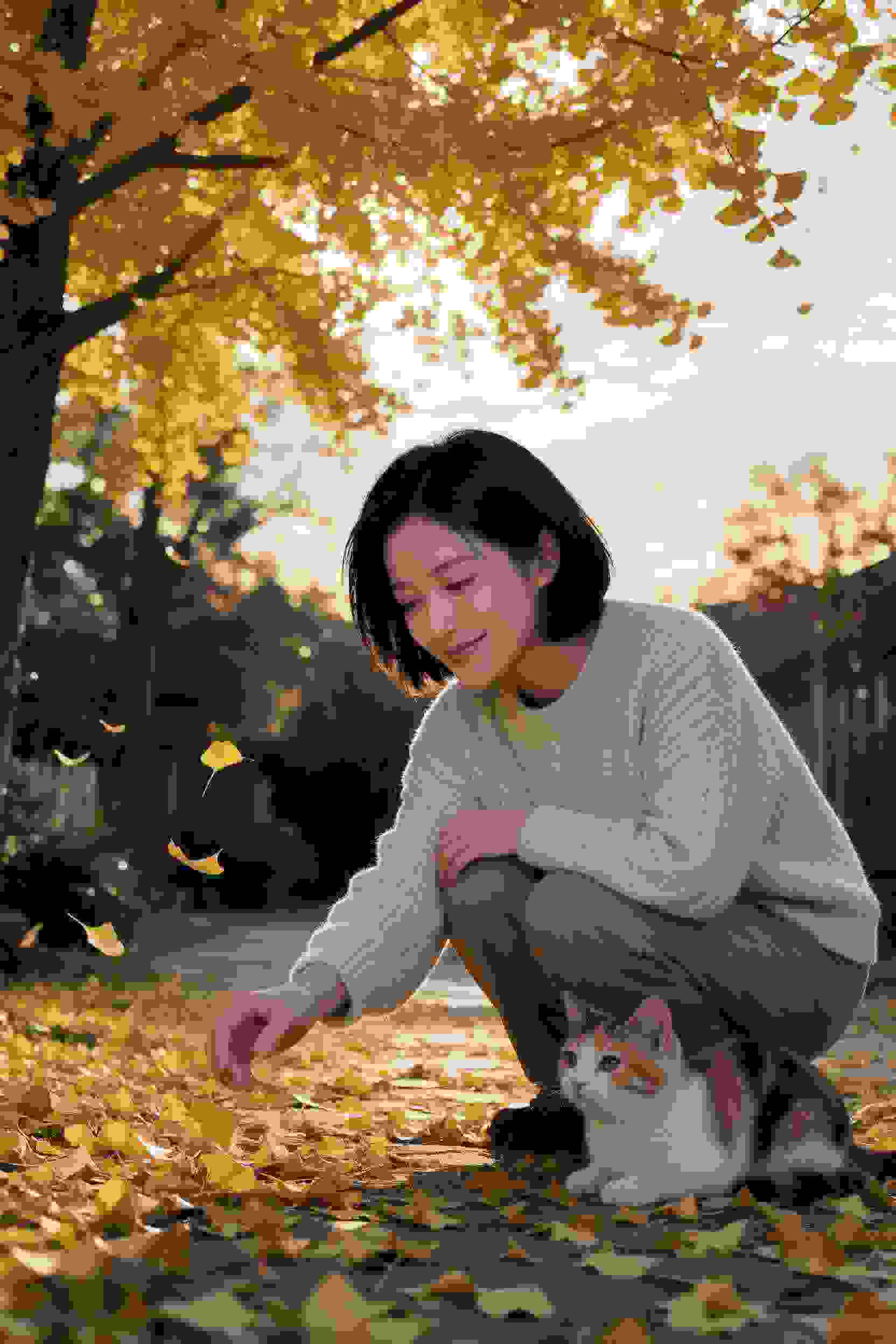 陪你走向星辰